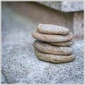 JF-Minimalistes (1)